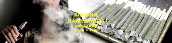 сатива Богданович