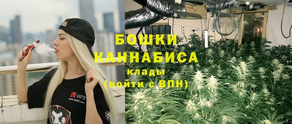 сатива Богданович