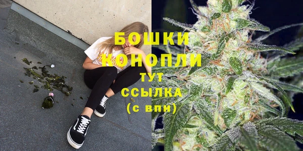 сатива Богданович