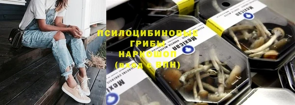 mix Богородицк