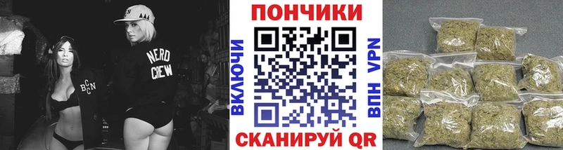 где найти   Дубна  Бошки Шишки Amnesia 